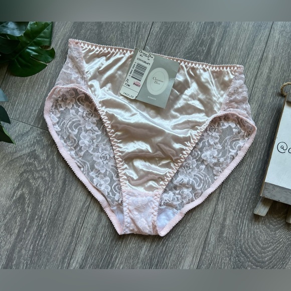 Christian Dior Intimates Blush Pink Satin & Sheer Floral Lace Panties. Sz L NWT! - Picture 2 of 6